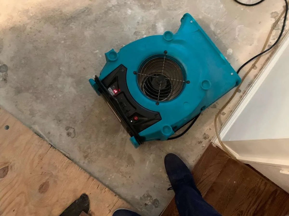 Air mover drying subfloor during Commercial Water Damage Restoration in Norwalk